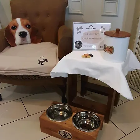 Peacockes فندق 3*