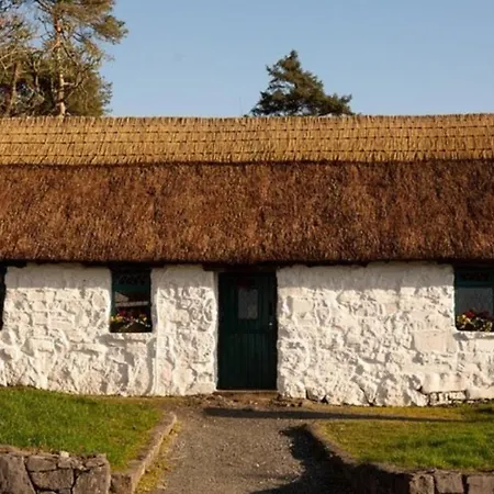 فندق Peacockes 3*