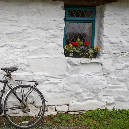 ホテル Peacockes 3*