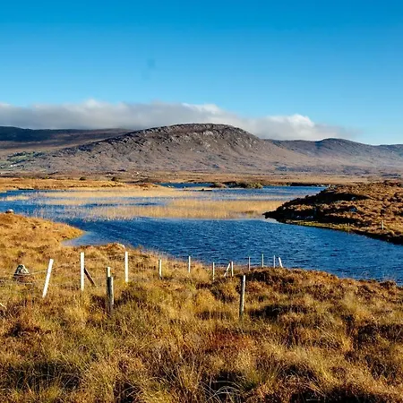 ホテル Peacockes 3*