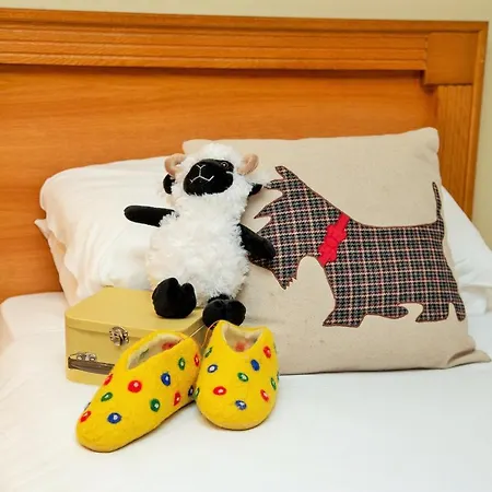 Peacockes ホテル Maam Cross