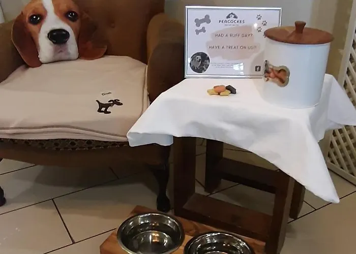 Peacockes Hotel 3*