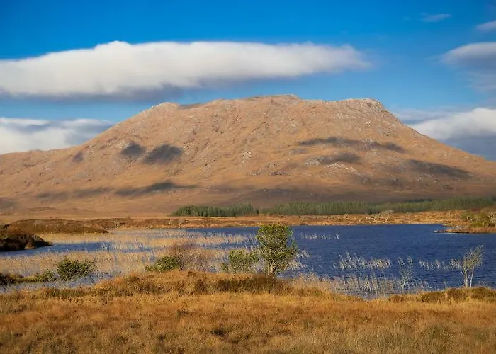 Peacockes Maam Cross